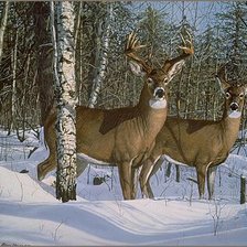 Схема вышивки «№2462112»