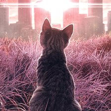 Схема вышивки «№2462744»