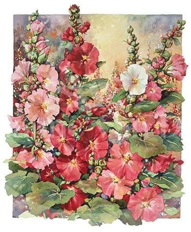 мальвы - цветы - оригинал