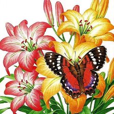 Схема вышивки «бабочка на лилиях»