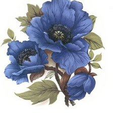 Схема вышивки «пионы»