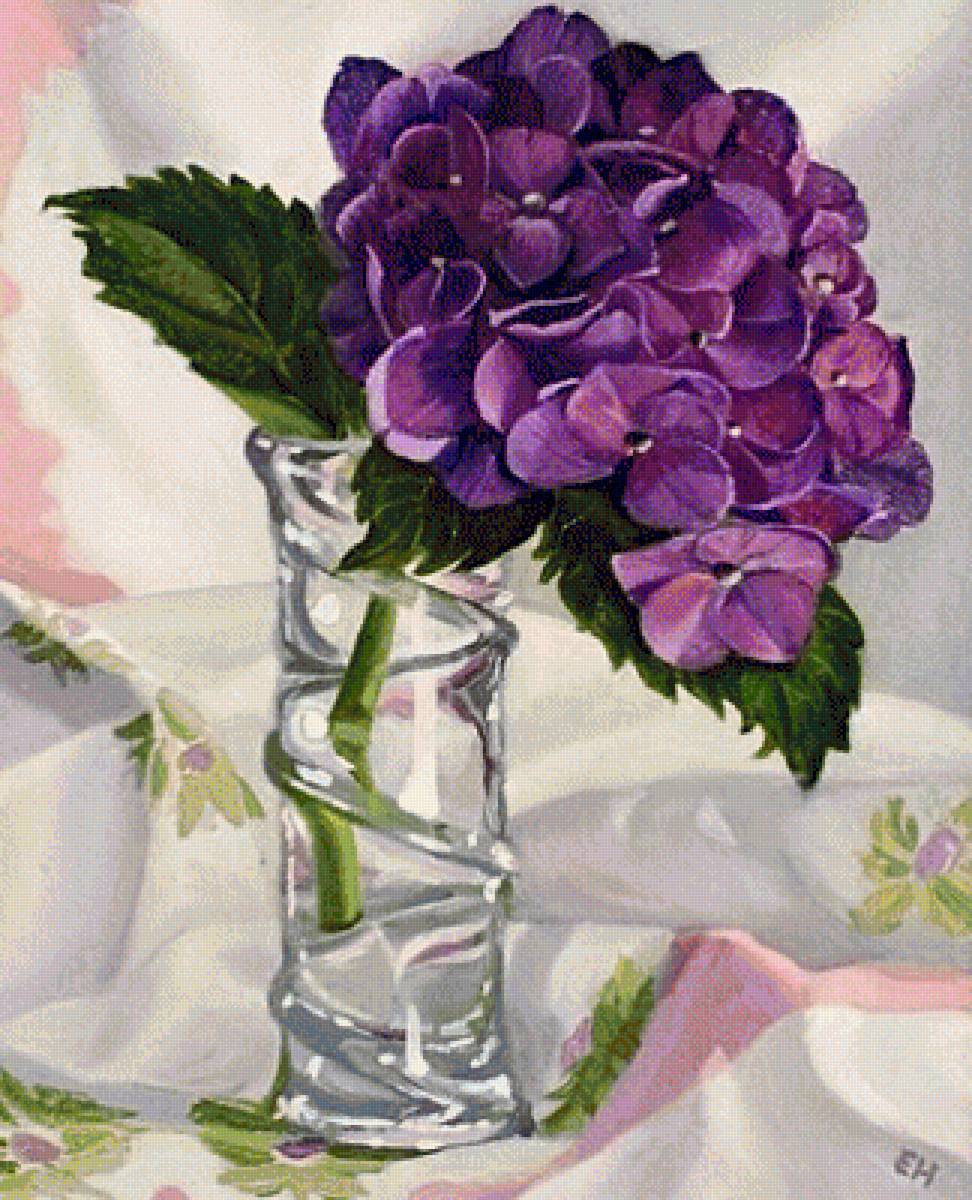 Ветка гортензии - растения, цветы - предпросмотр