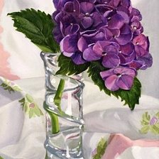 Ветка гортензии