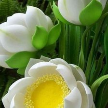 Схема вышивки «Белый лотос»