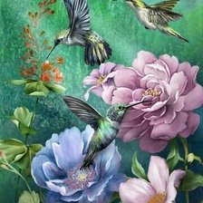 Схема вышивки «колибри»