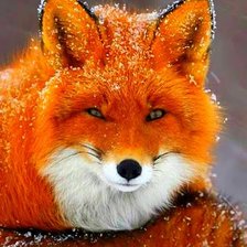 Схема вышивки «Лиса Алиса»