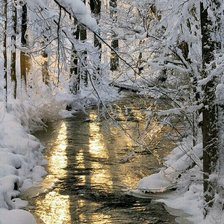 Схема вышивки «№2463470»