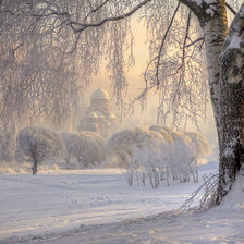 Схема вышивки «№2463596»