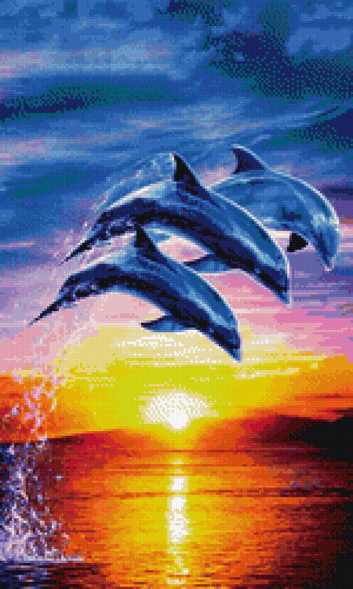 Дельфины - дельфины. море. закат. - предпросмотр