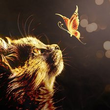 Схема вышивки «Кошка»