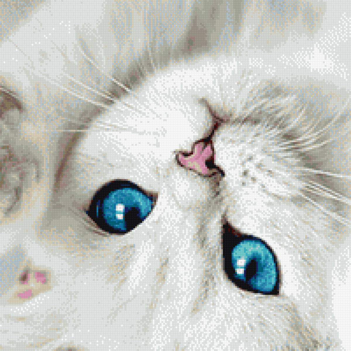 Коша - кошка. животные. - предпросмотр