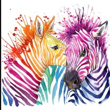 Схема вышивки «Зебра»