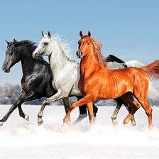Схема вышивки «Лошади.»
