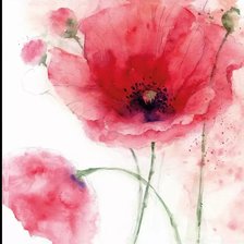 Схема вышивки «Акварельные маки»