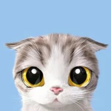 Схема вышивки «Милашка котик»