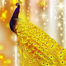 Схема вышивки «Золотой павлин»