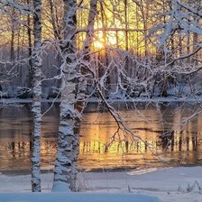 Схема вышивки «№2464411»