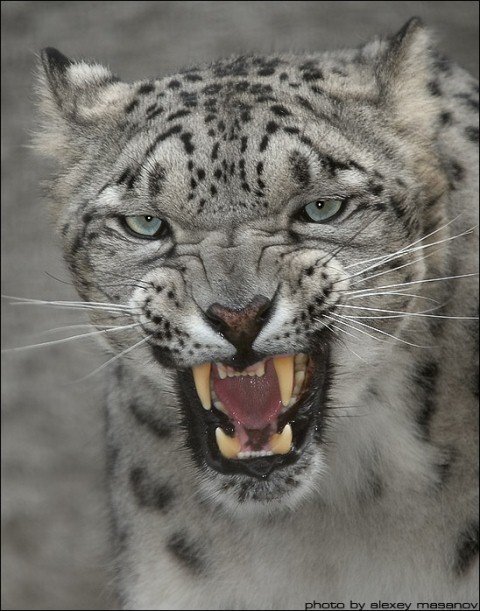 уходи! - оригинал