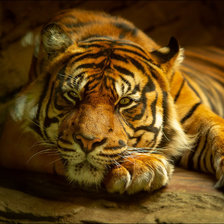 Схема вышивки «в радумьях...»