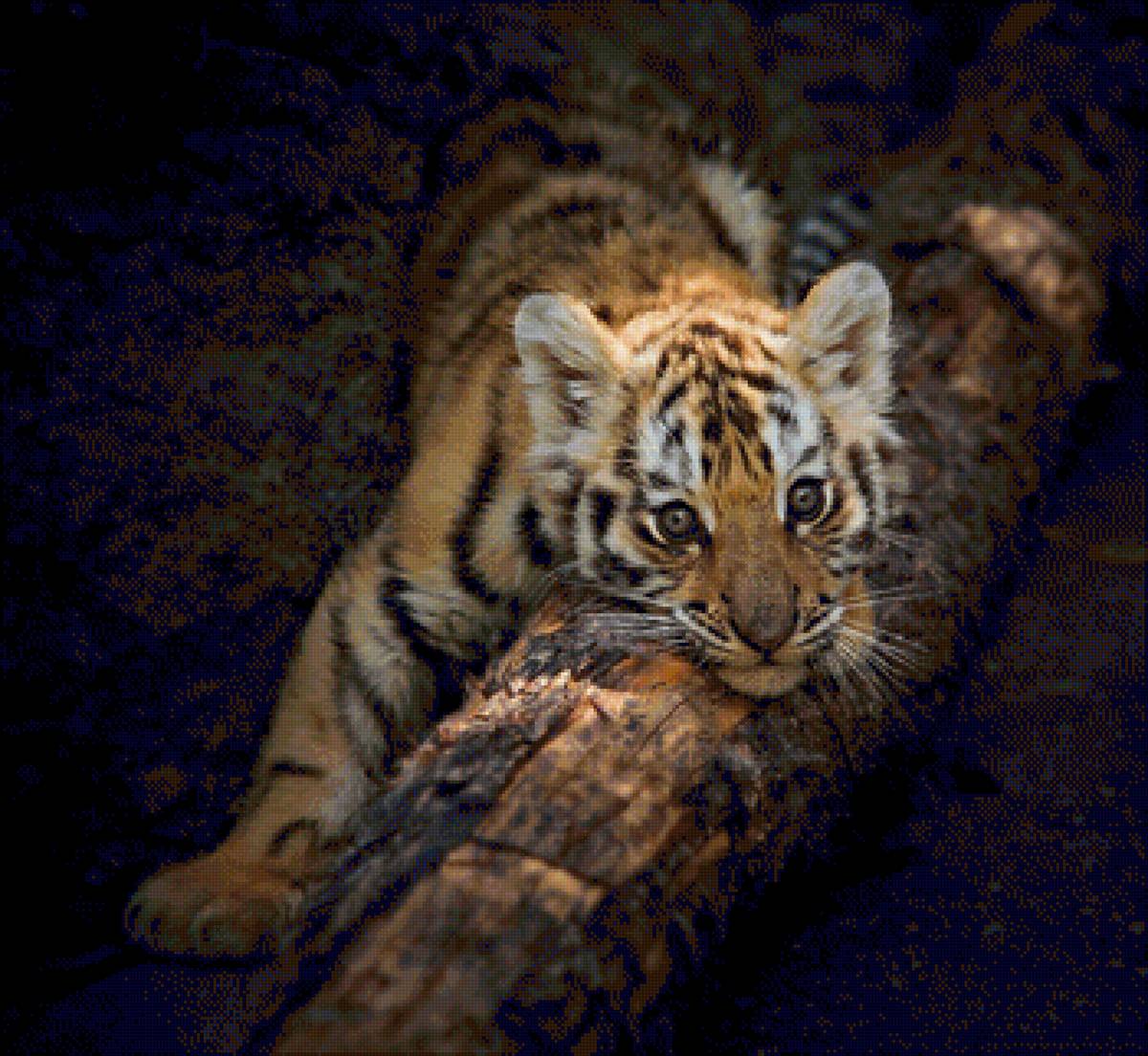 малыш - предпросмотр