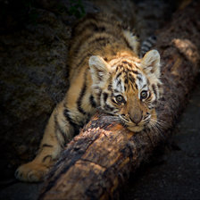 Схема вышивки «малыш»