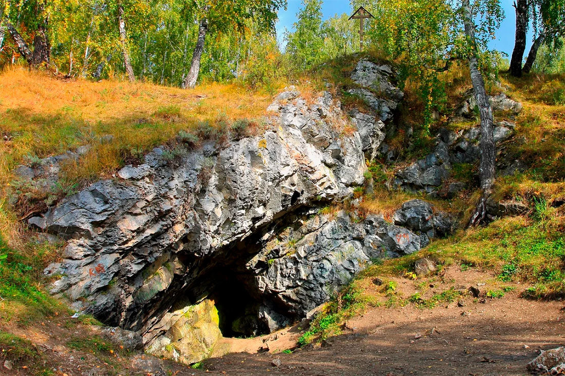 №2464482 - оригинал