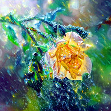 Схема вышивки «№2464491»