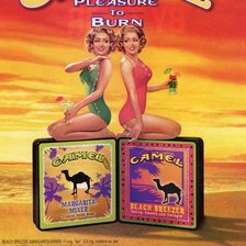 Схема вышивки «anuncis vintage»