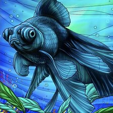 Схема вышивки «Рыбка-телескопик»