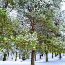 Схема вышивки «№2464791»