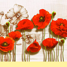 Схема вышивки «Серия "Цветы". Маки»