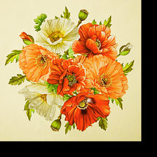 Схема вышивки «Серия "Цветы". Маки»
