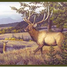 Схема вышивки «олени»