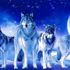 Схема вышивки «Стая волков»