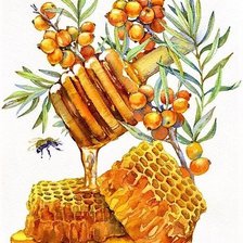 Схема вышивки «Мед»