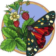 Схема вышивки «Бабочка»