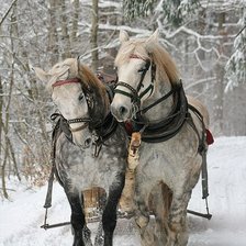 Схема вышивки «№2465726»