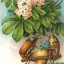 Схема вышивки «Майские жуки»