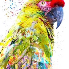Схема вышивки «Арт Попугай»