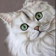 Схема вышивки «Кошечка»