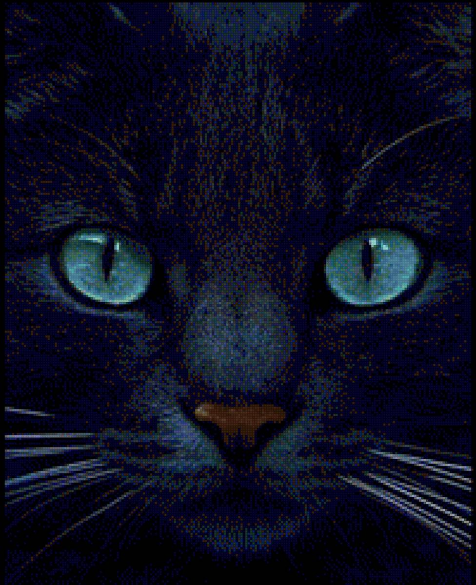 Черный Мурррр - кот, животные - предпросмотр