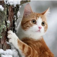 Схема вышивки «На прогулке:)»