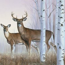 Схема вышивки «№2466269»