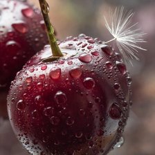 Схема вышивки «№2466321»