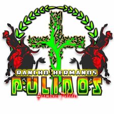 Схема вышивки «№2466544»