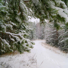 Схема вышивки «Зимний лес»