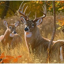 Схема вышивки «№2466732»