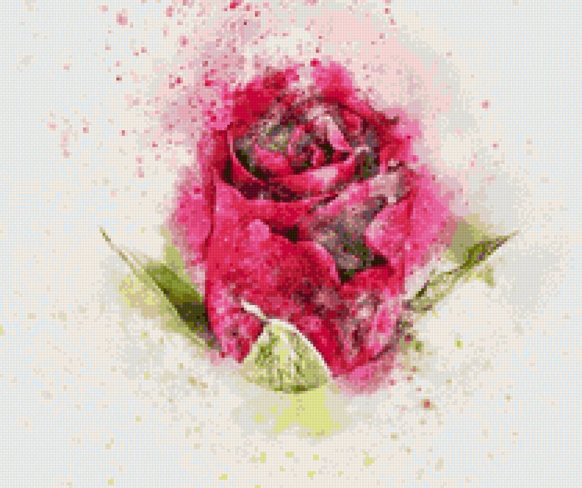 Акварельная Роза - акварель, цветы, роза - предпросмотр