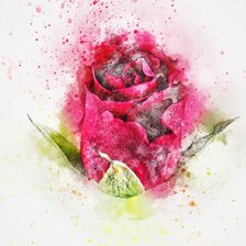 Схема вышивки «Акварельная Роза»