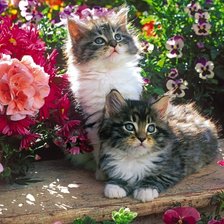 Схема вышивки «Котята в саду»